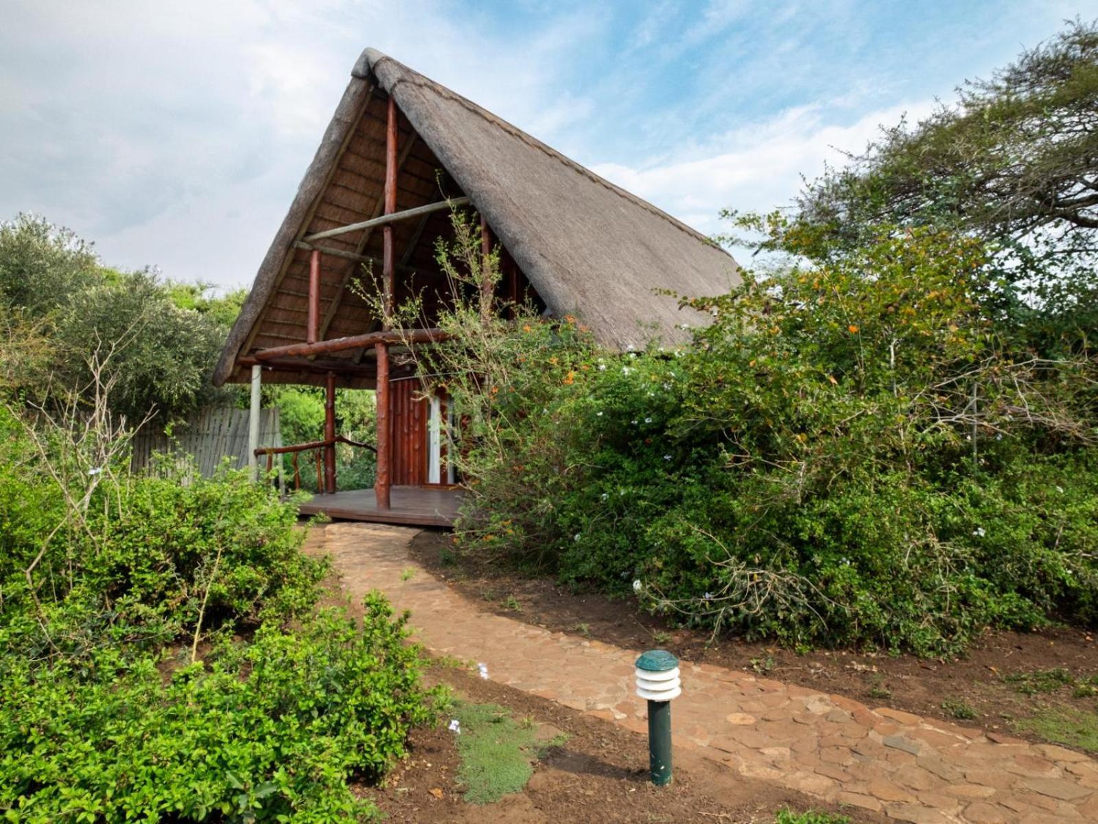 Rhino River Lodge Manyoni Private Game Reserve Kültér fotó