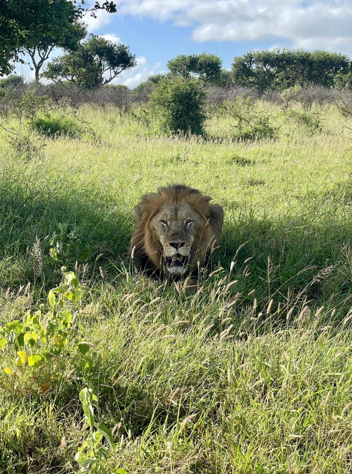 Rhino River Lodge Manyoni Private Game Reserve Kültér fotó